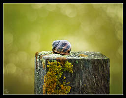 Bath in the bokeh