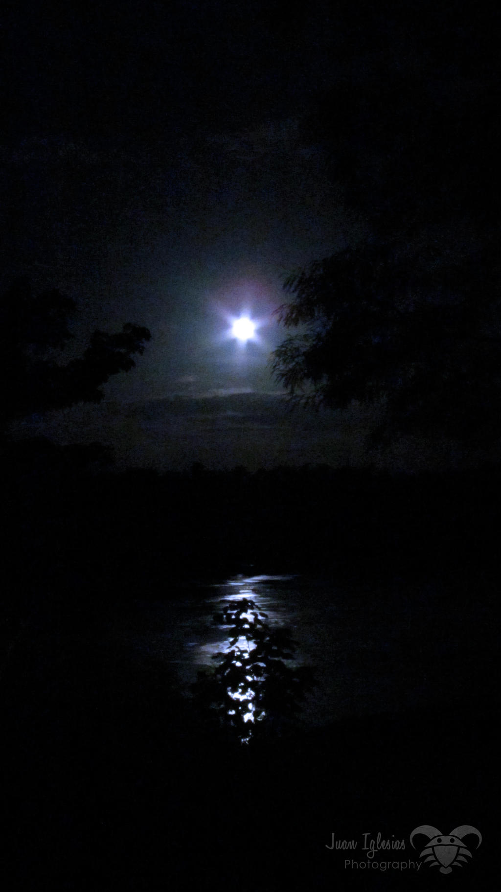 Moon Reflection