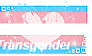 Transgender Pride