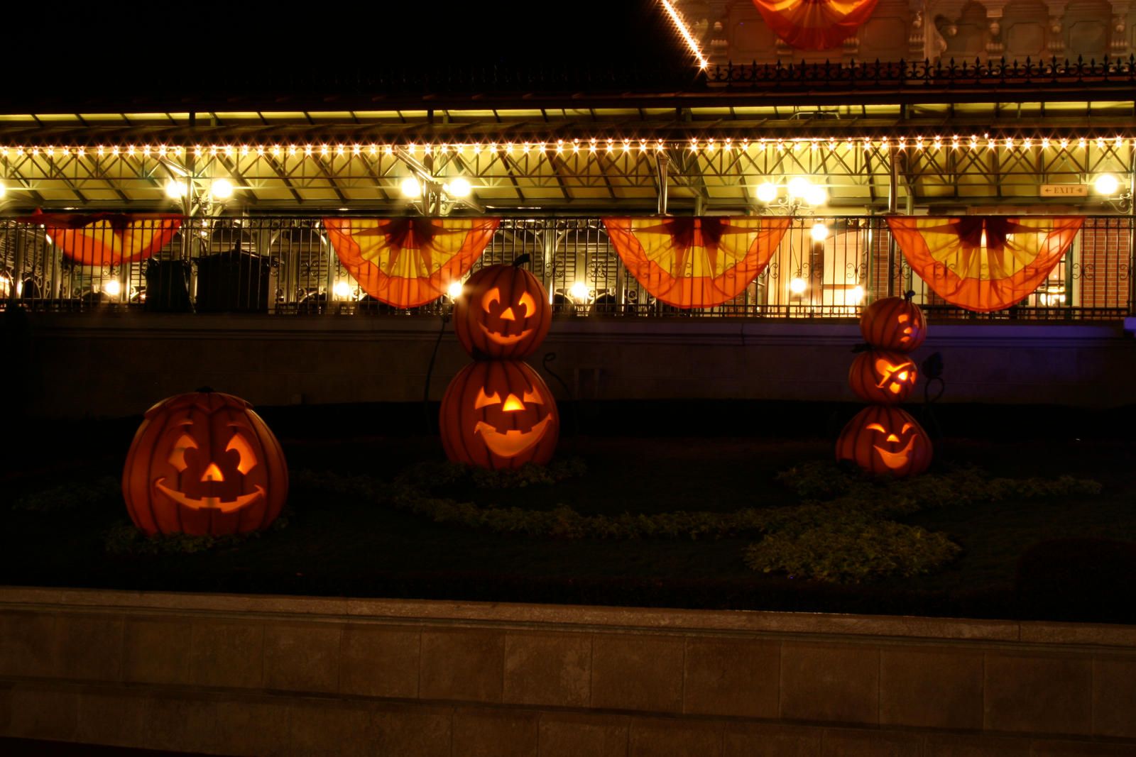 Magic Kingdom Halloween 36