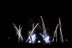 Illuminations Stock 80