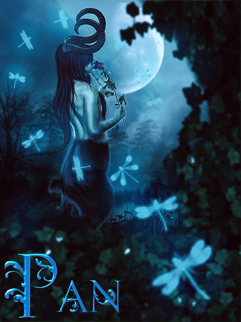 Pan by TriZiana Pan by TriZiana