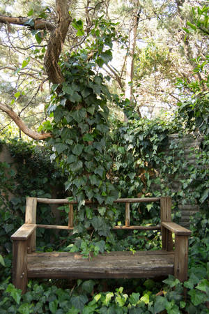 Garden Bench by TriZiana