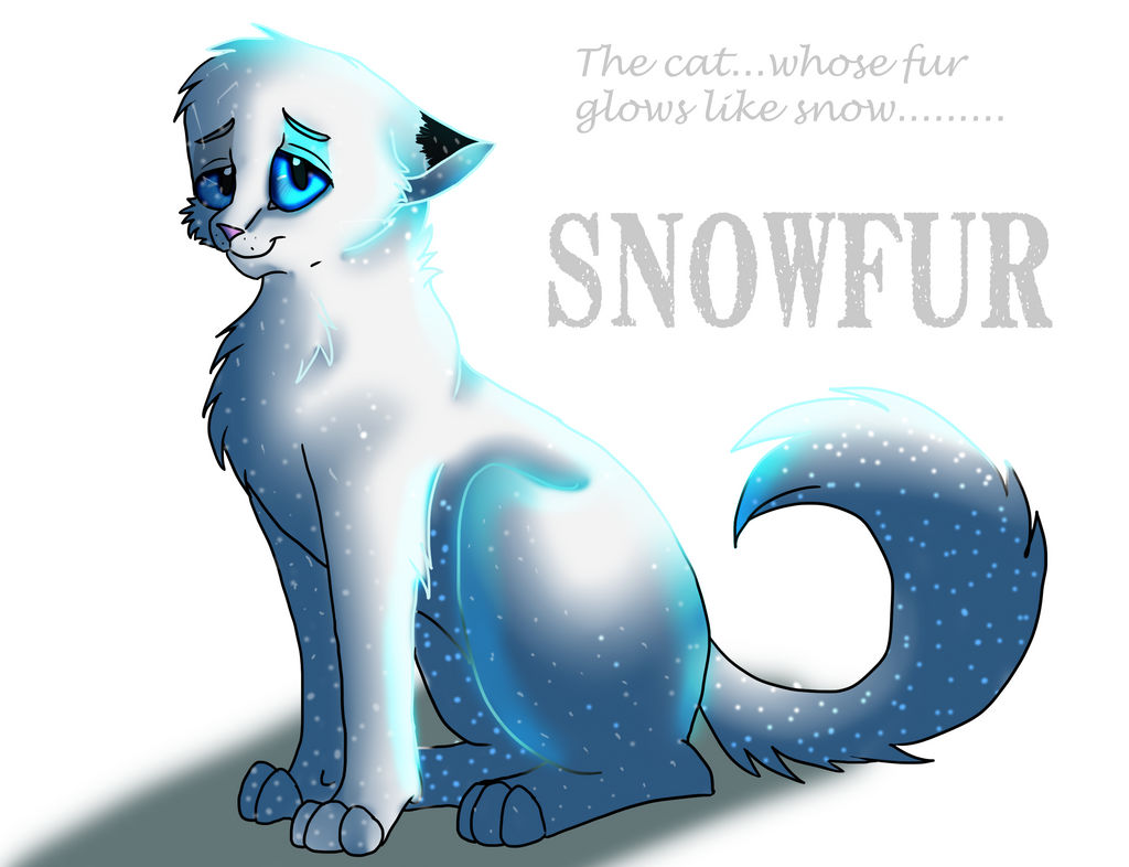 The cat whose fur glows like snow....