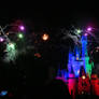Disney World Fireworks I