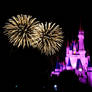 Disney World Fireworks II