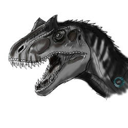 Allosaurus Headshot