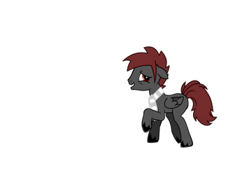 TerryTheDarkWolf~ PONY