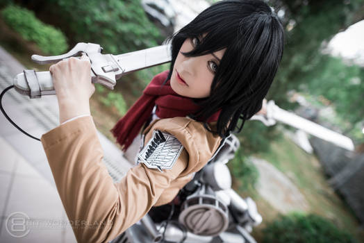 Mikasa Ackerman: of no consequence