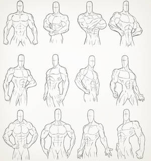 Male Torso Drawings 2007