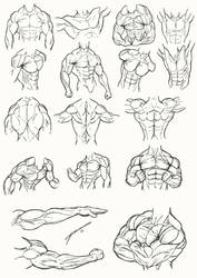 Male Torso Anatomy 2012