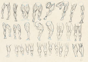 Leg Study