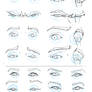 Eye Study