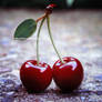 cherry cherry