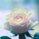 the point of no return by illusionality