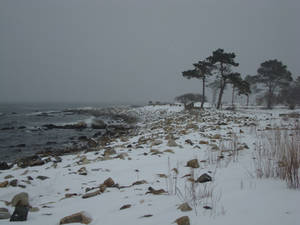Snow storm at Odiorne Pt.