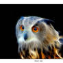 Eagle Owl F