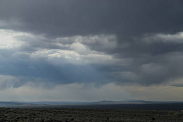 New Mexico Desert 1