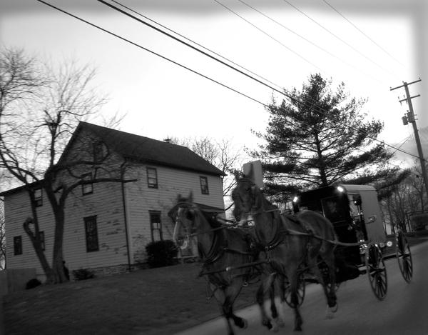 Horse n' Buggy