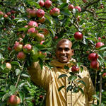 Portrait in the orchard by Kancano