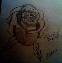 Rose