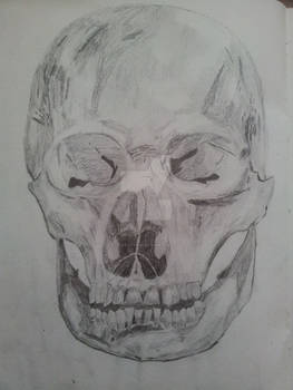 Skull at age 14[1]