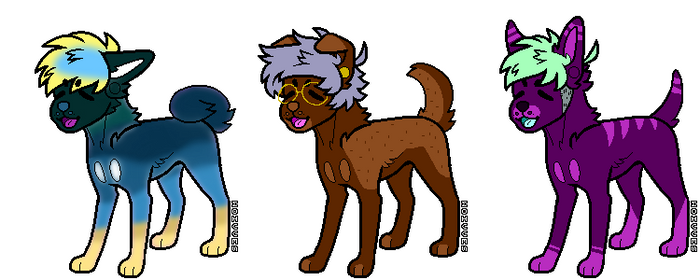 OPEN OTA Dog batch