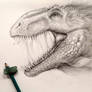 Giganotosaurus Drawing Fantasy