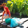 Ariel