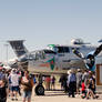 Air Show-0018 (Maid in the Shade)