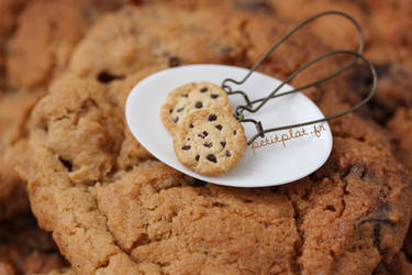 Give-Away : Cookie Earrings by PetitPlat