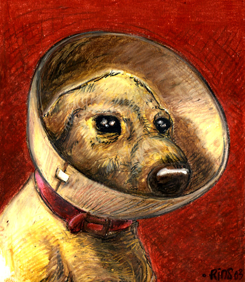 Doggy with a Cone Oil Pastel