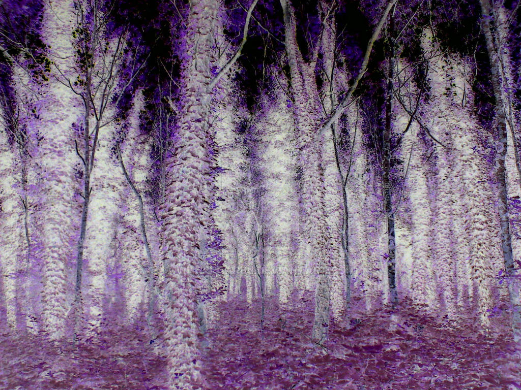 Inverted Colored Tree Inverted Trees. by wharrgarbl on DeviantArt
