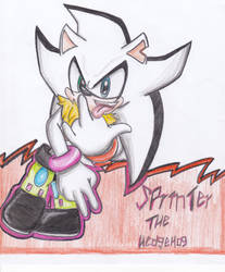 sprinter the artificial hedgehog