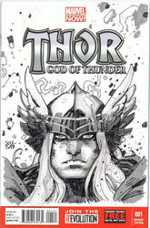 THOR blank cover by Soul