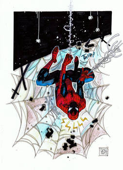 SPIDERMAN-by-Soul-PCE2013