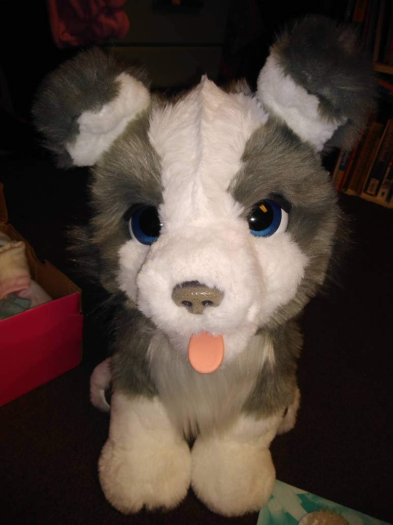 Furreal Ricky My Trick Lovin' Pup by furreallyfriends on DeviantArt