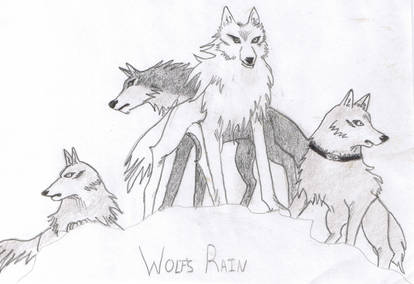 Wolfs Rain Group