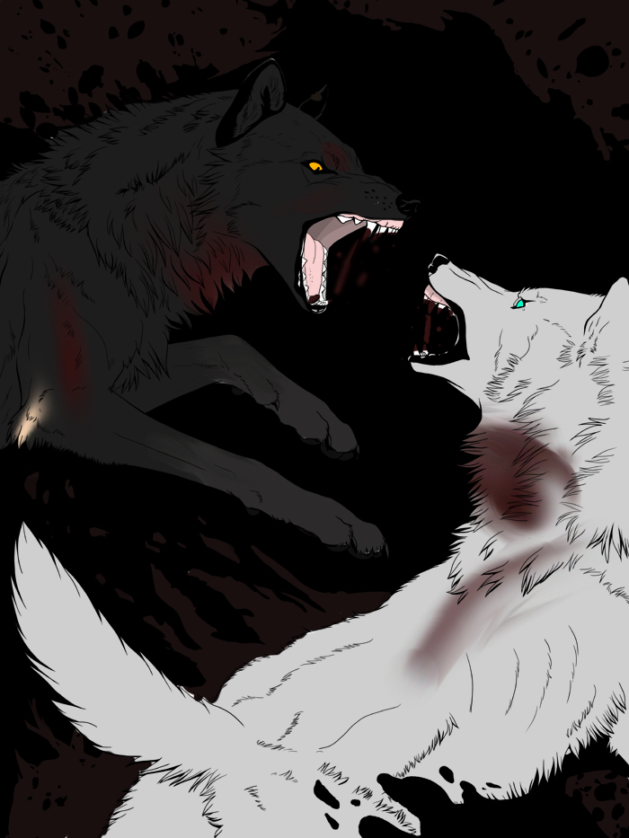 warriors wolves page 5