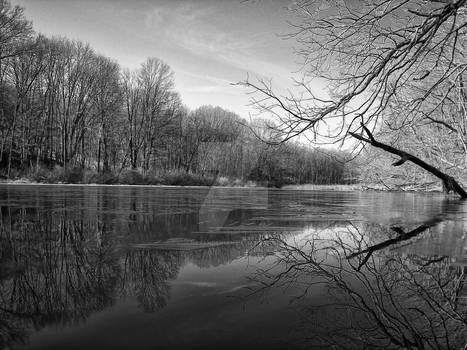 B+W pond