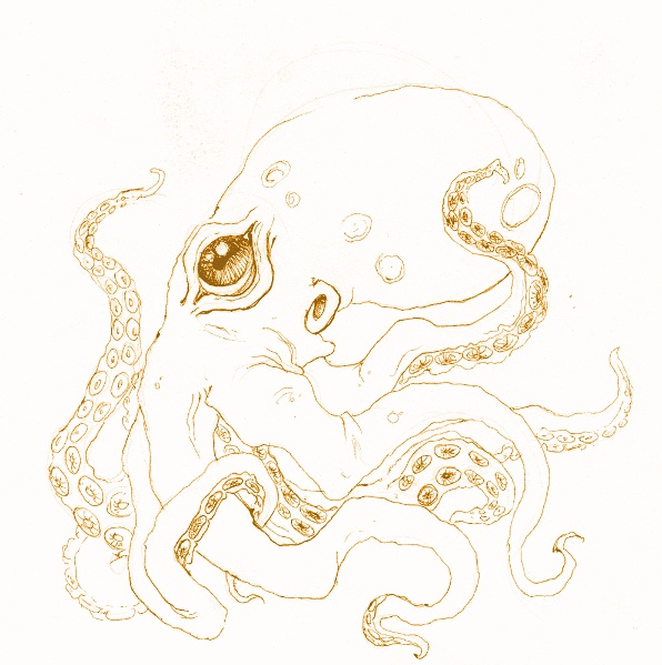 Octopus