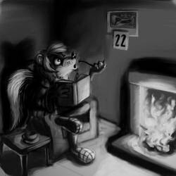 Skunk by the fire