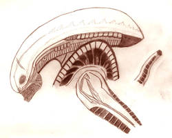 Alien Xenomorph