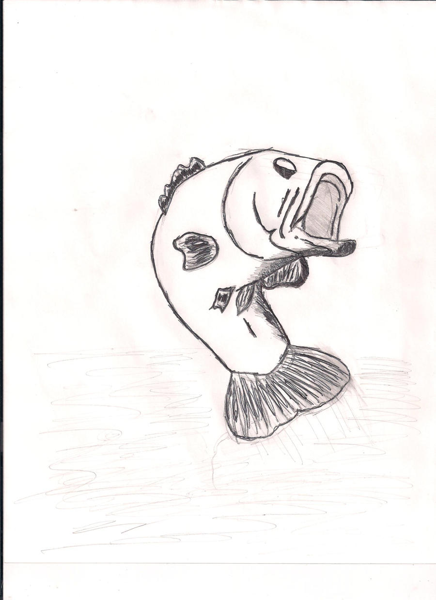 Bass Fish Drawing by gparagas4 on DeviantArt
