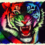 Tigre color