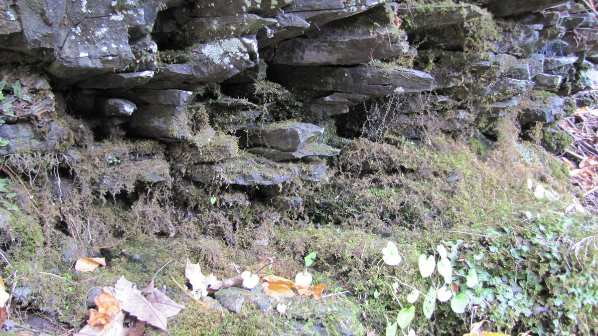 Mosey Rocks Mossy Rocks by SicariusAlatum on DeviantArt