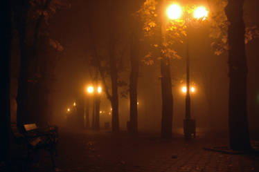 Misty Night