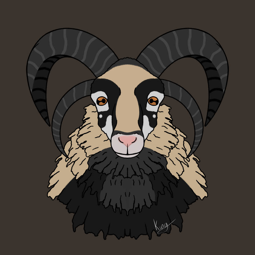 Deviantart Old Jacob Jacob Sheep by Artof-Kings on DeviantArt