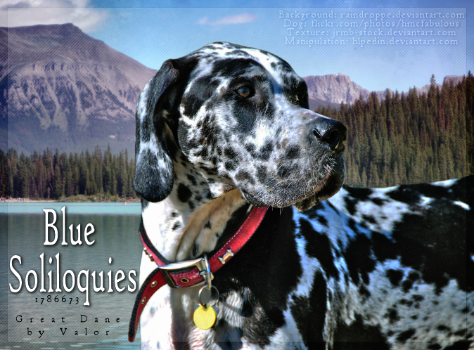 Blue Soliloquies