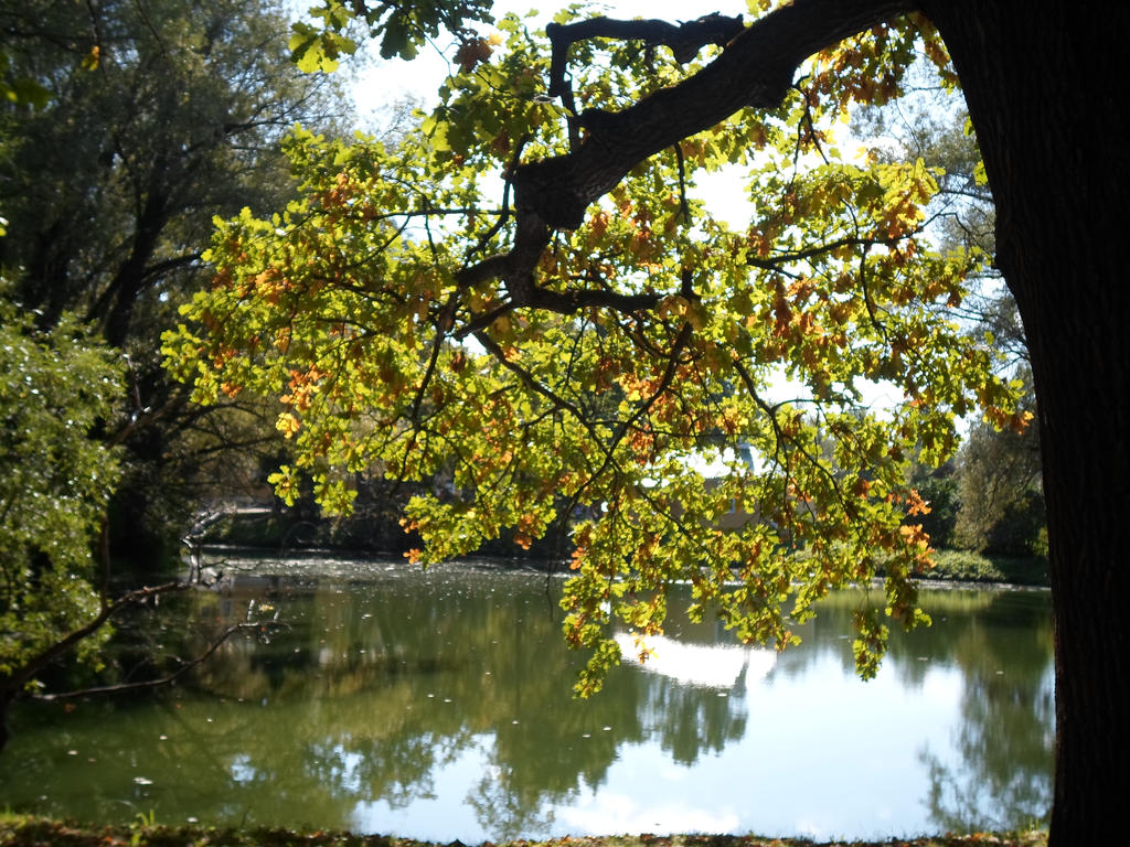 Pond in Boldino